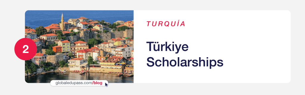 Becas de gobierno para estudiar en Turquia